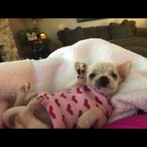 Meet your Posher, Kim